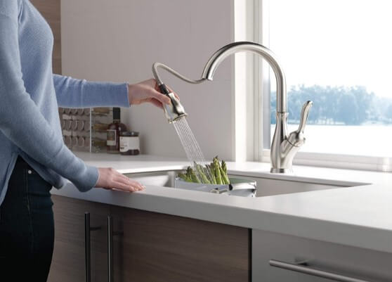 Delta Leland Single-Handle Kitchen Sink Faucet with Pull down Sprayer